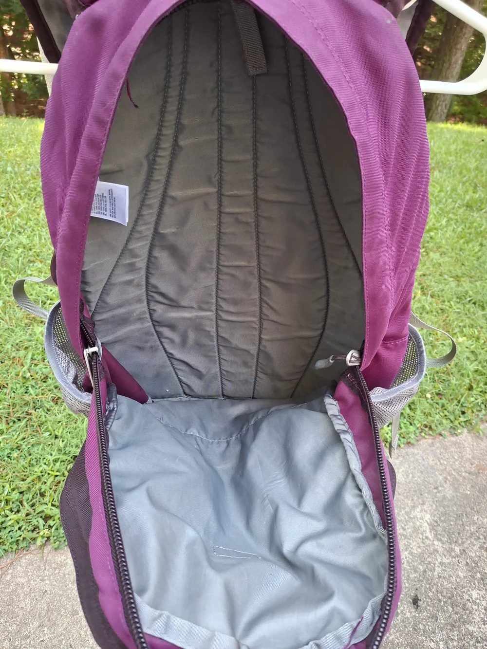 The North Face Jester Plum/Purple Backpack
